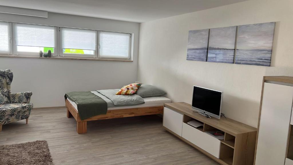 - une chambre avec un lit et une télévision dans l'établissement Gemütliches Ferienzimmer in Neukirchen, à Braunfels