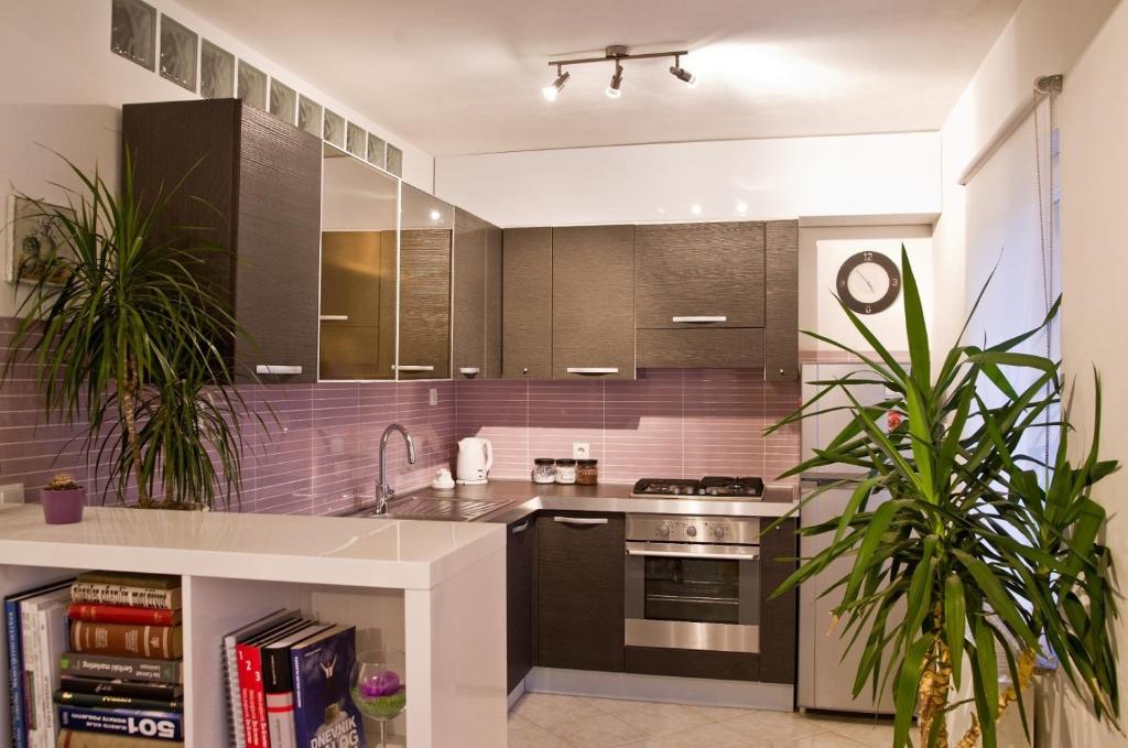 Kuchyň nebo kuchyňský kout v ubytování Apartments Zagy