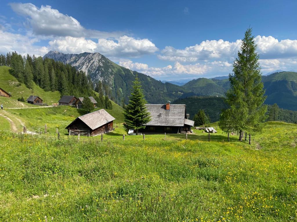 ein Haus auf einem Feld mit Bergen im Hintergrund in der Unterkunft Jörgenbauerhütte in Spital am Pyhrn
