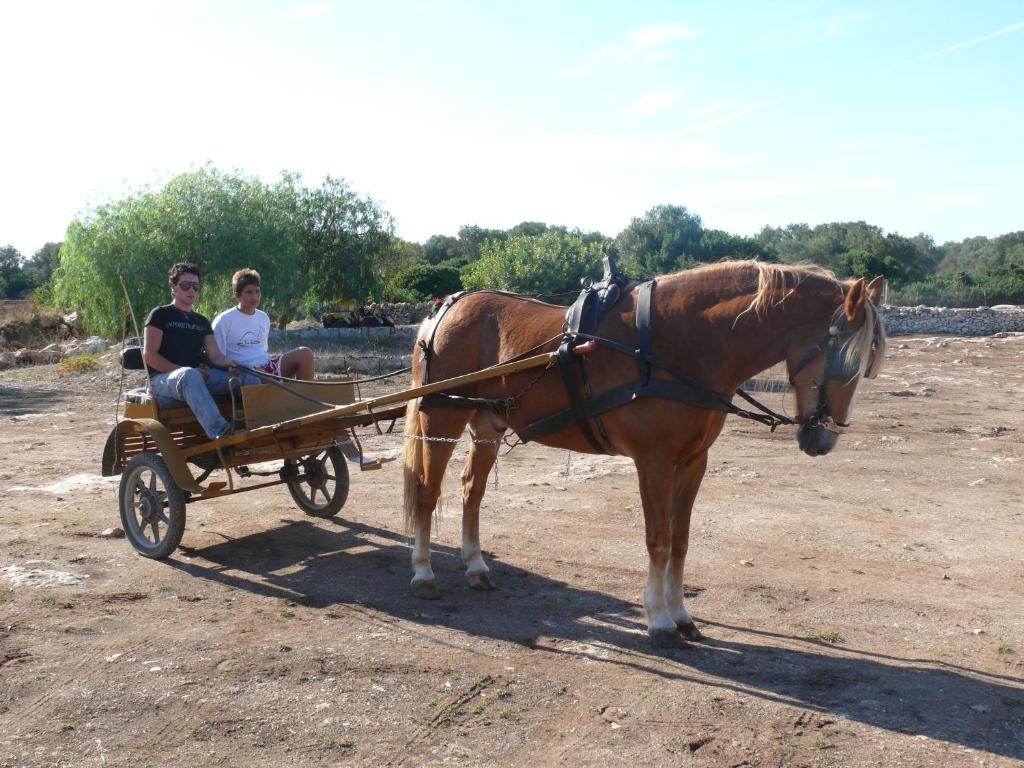 Hosté ubytování Agriturismo La Lucia