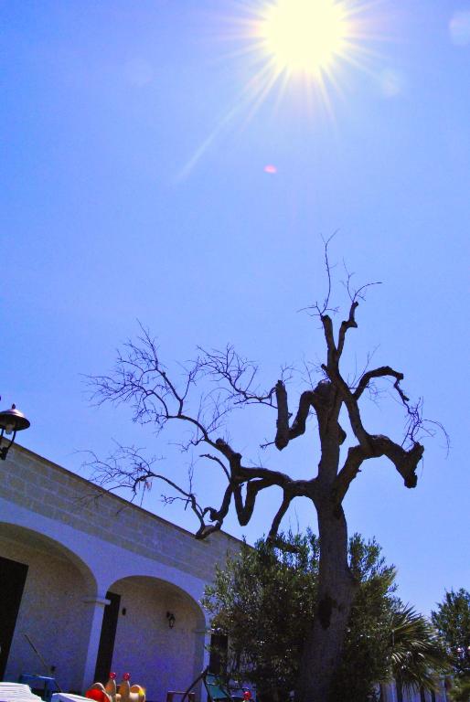 Fotografie z fotogalerie ubytování Agriturismo La Lucia v destinaci Sant'Isidoro