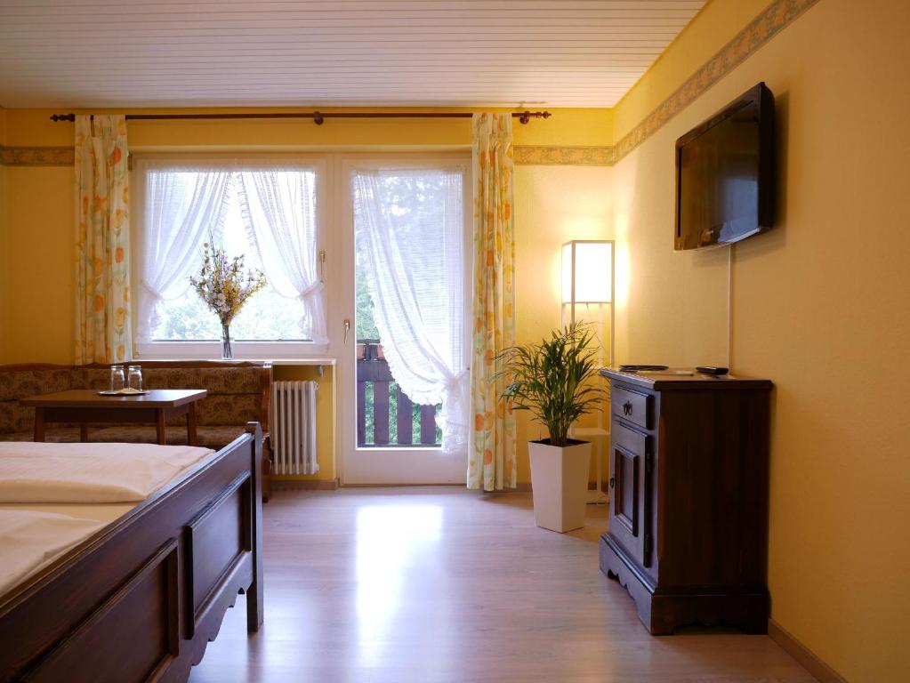 TV a/nebo společenská místnost v ubytování Seebach-Hotel