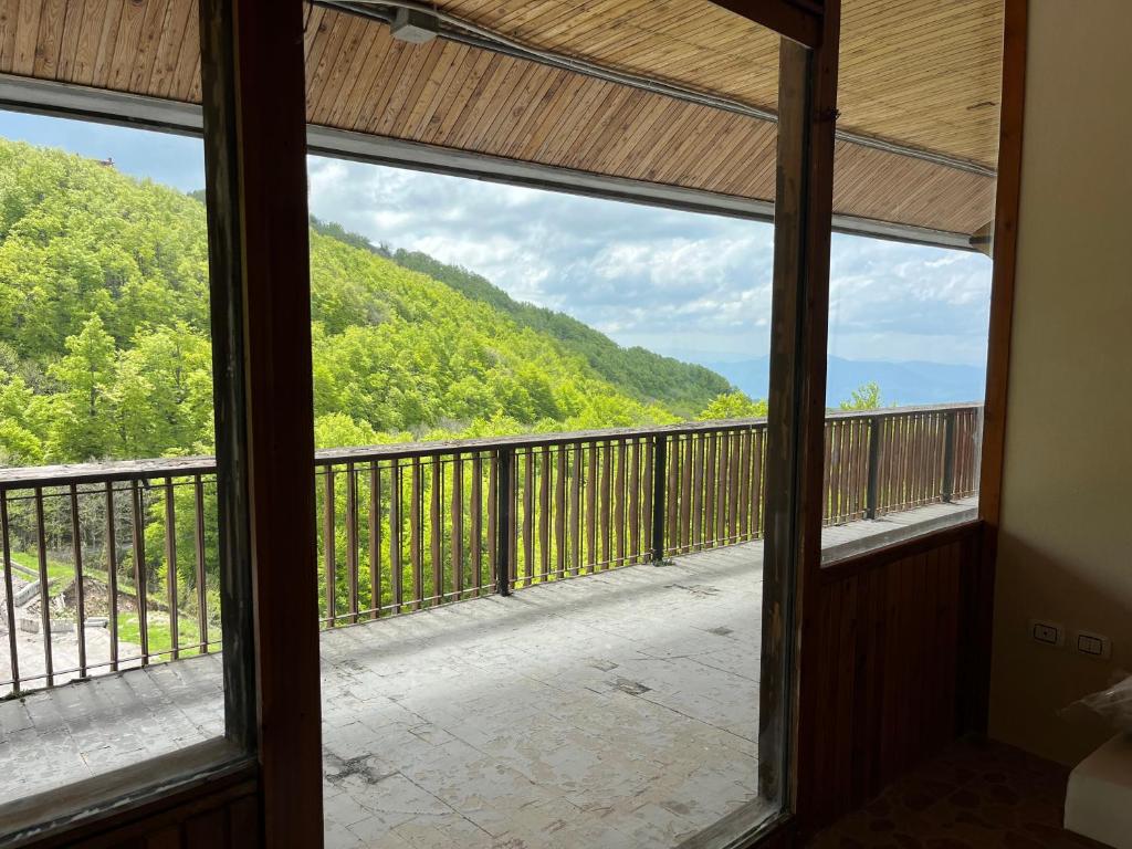 Příroda nedaleko apartmánu