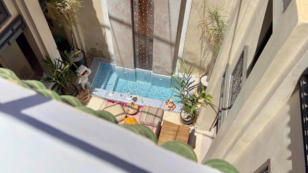 an overhead view of a swimming pool with potted plants at Riad Pourpre Medina in Marrakesh