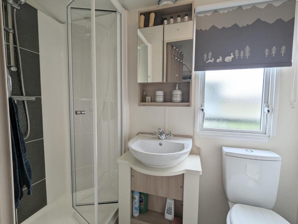 a small bathroom with a sink and a toilet at Peacehaven, Ynyslas, Borth in Borth