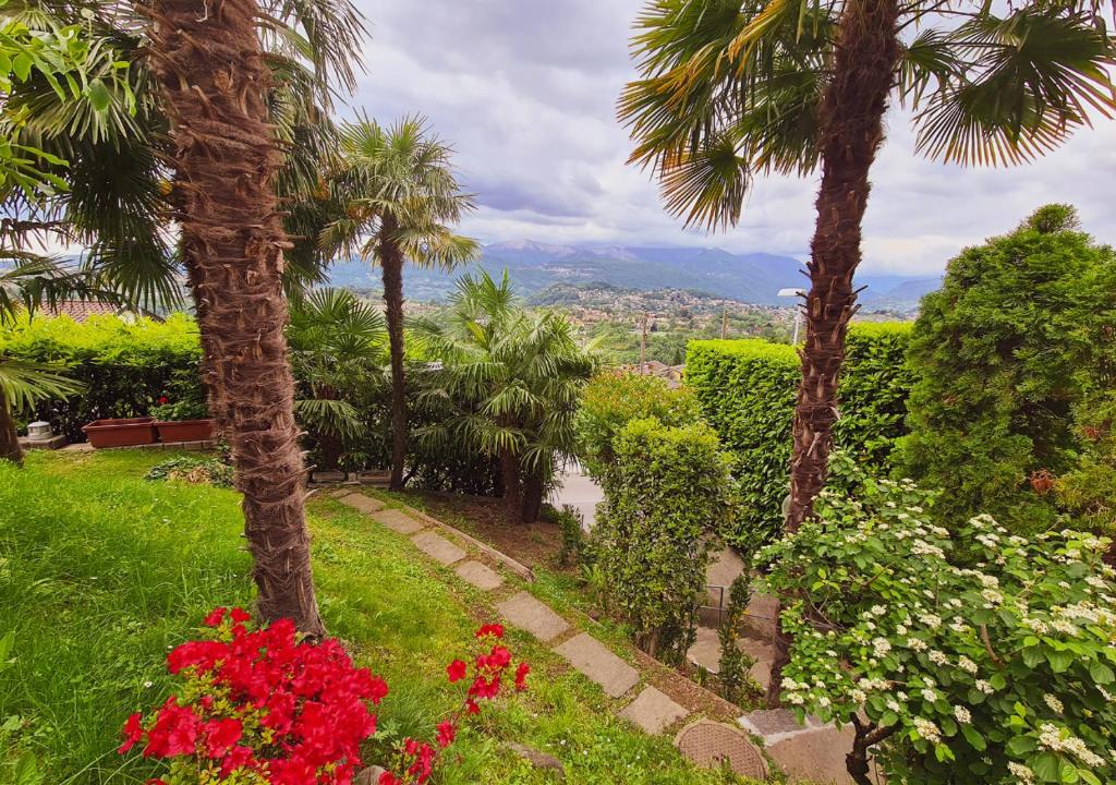 a garden with palm trees and flowers with a view at Suite Apartment with a view and free parking in Lugano