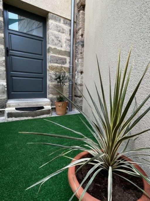 a plant in a pot in front of a door at #Le Rue des 2 Porches #F2 avec Cours #HyperCentre in Brive-la-Gaillarde