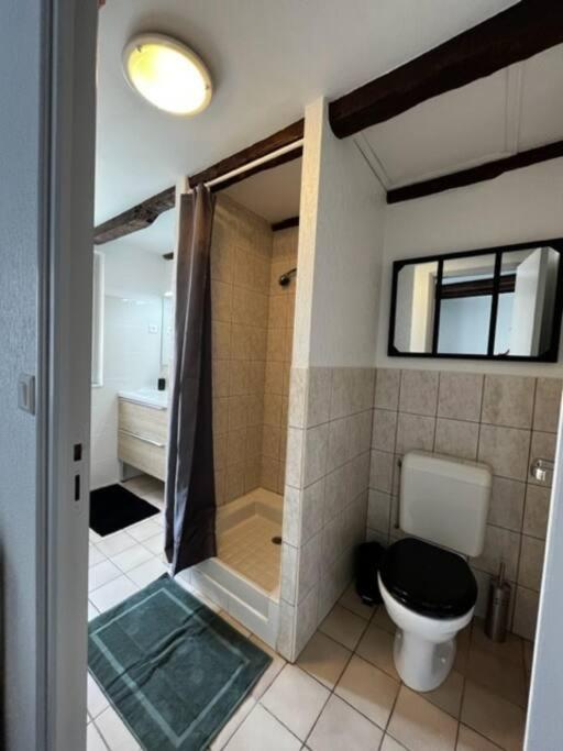 a bathroom with a shower with a toilet and a sink at #Le Rue des 2 Porches #F2 avec Cours #HyperCentre in Brive-la-Gaillarde