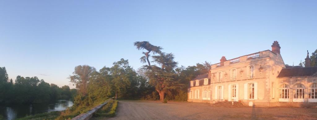 un antiguo edificio con una palmera al lado de una carretera en Château de Colliers en Muides-sur-Loire