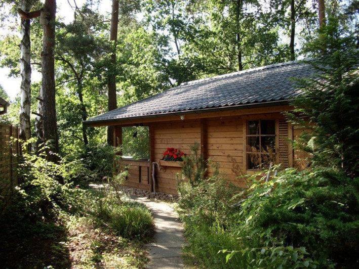 una piccola cabina in legno in mezzo a una foresta di Haus Badblick a Bienenbüttel