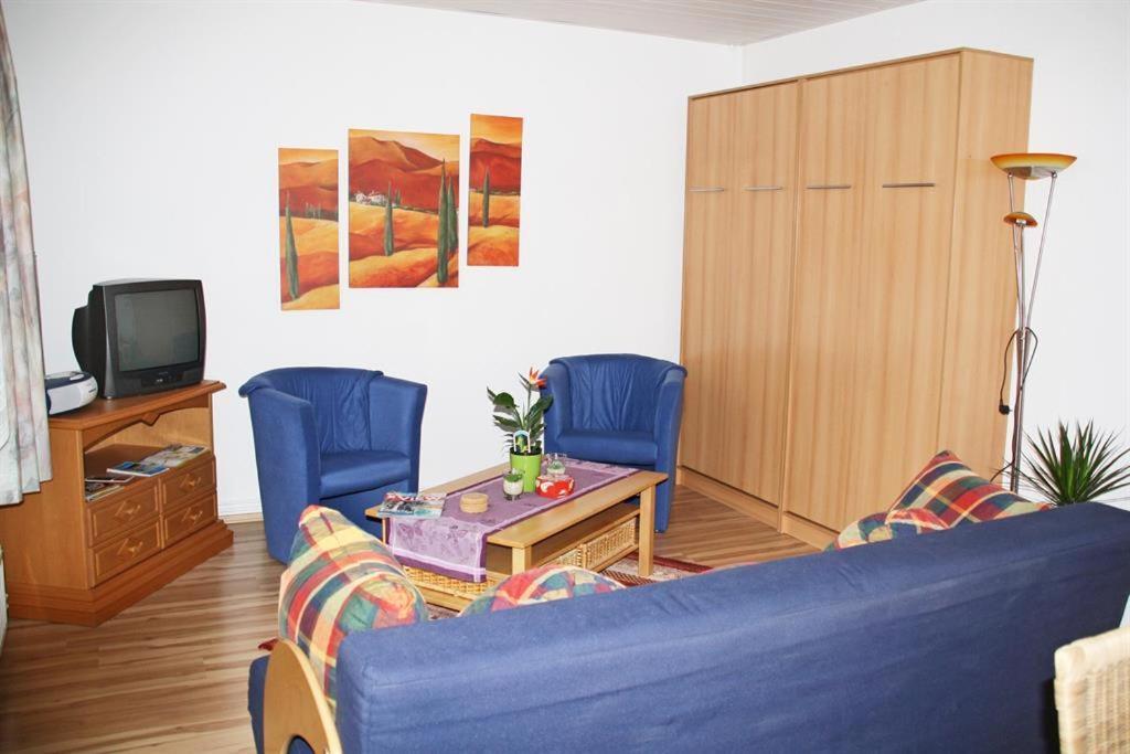 ein Wohnzimmer mit einem blauen Sofa und einem TV in der Unterkunft Dogge, Ferienwohnung in Celle