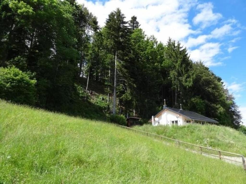 a house on the side of a hill with trees at Haus am Sternsberg in Sternenberg