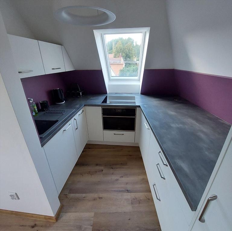 Kuchyň nebo kuchyňský kout v ubytování Apartmány Phlora