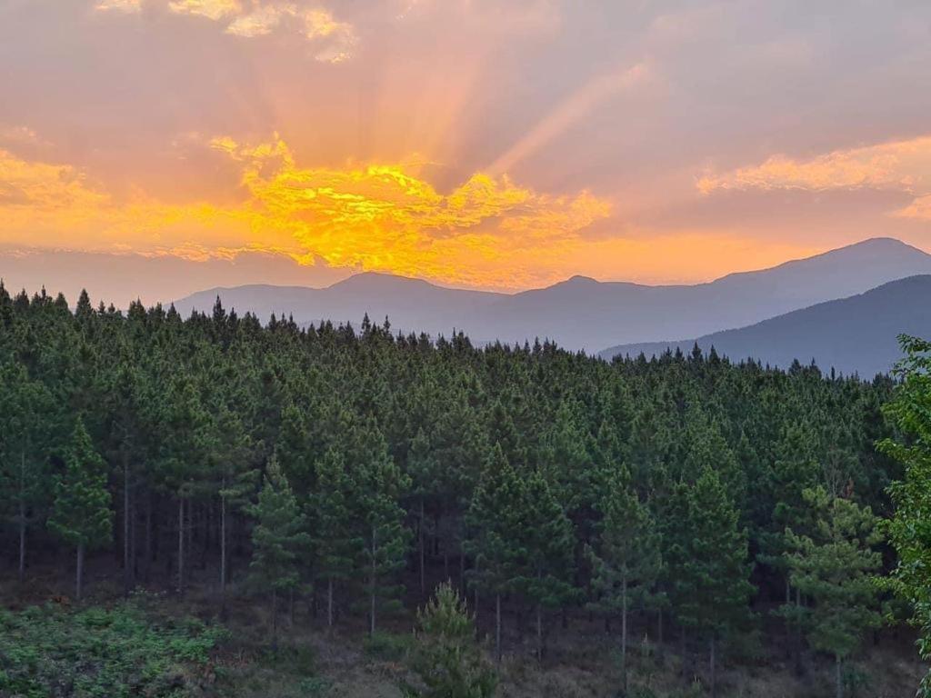 a sunset over a forest with mountains in the background at Majestic View Self Catering Guest House in Sabie