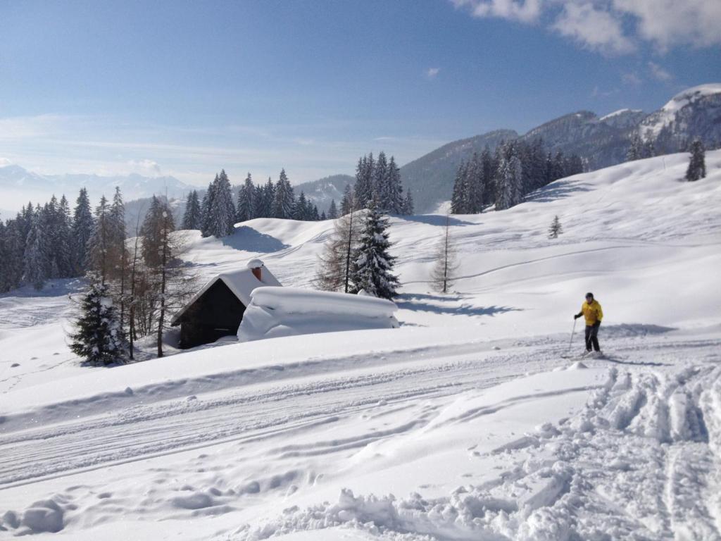 Jörgenbauerhütte v zimě