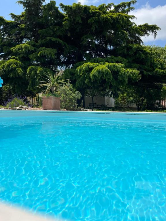 un bassin d'eau bleue avec des arbres en arrière-plan dans l'établissement Suite à la Villa Cattus, à Bram