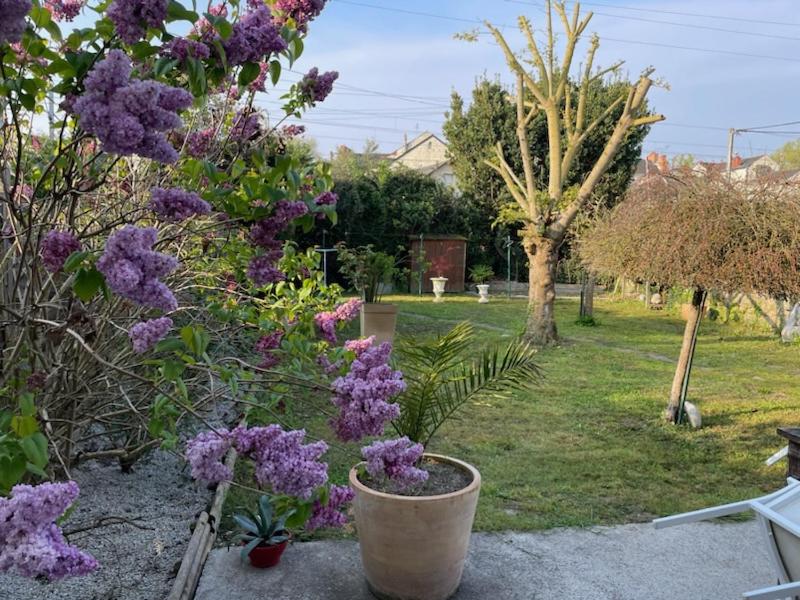 un jardín con flores púrpuras en un patio en Maison Saumur, en Saumur
