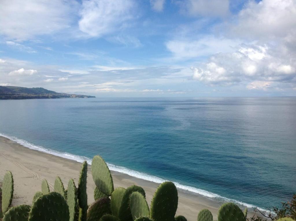 - une vue sur la plage avec des cactus et l'océan dans l'établissement La Rosa dei Venti, à Zambrone