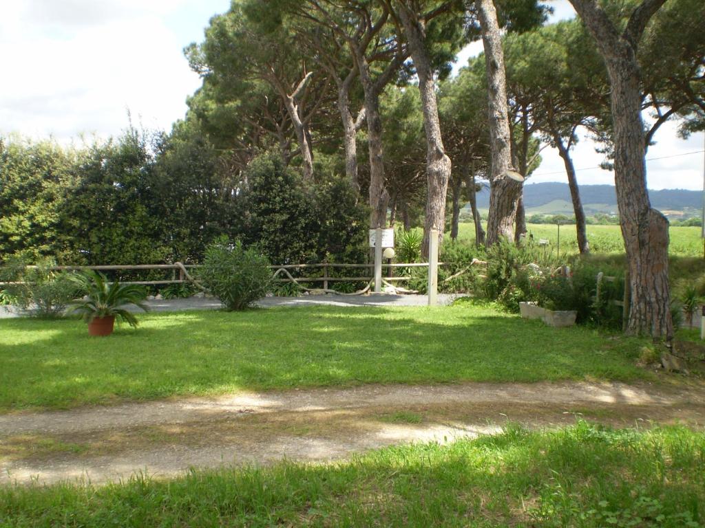 a yard with a fence and green grass and trees at Agriturismo Ternova in Alberese