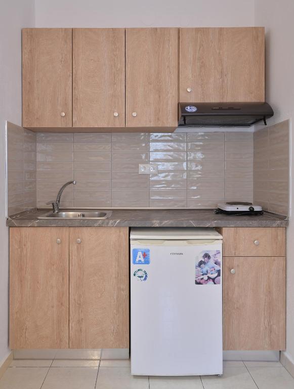 Kuchyň nebo kuchyňský kout v ubytování Apartments Kalina
