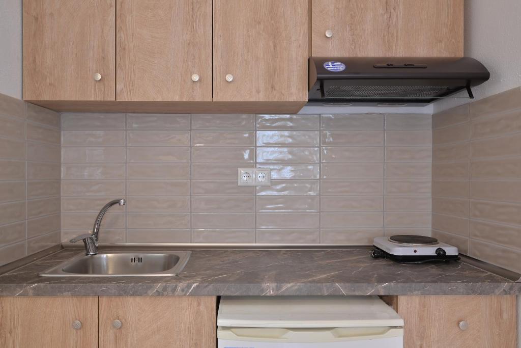 Kuchyň nebo kuchyňský kout v ubytování Apartments Kalina