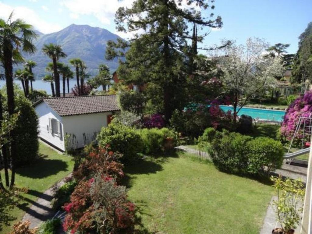 vistas a un jardín con árboles y una piscina en Eco-Casa Paradiso G, Schwimmbad, Garten und wunderschöne Seesicht, ruhig und sonnig Gelegen, en Minusio