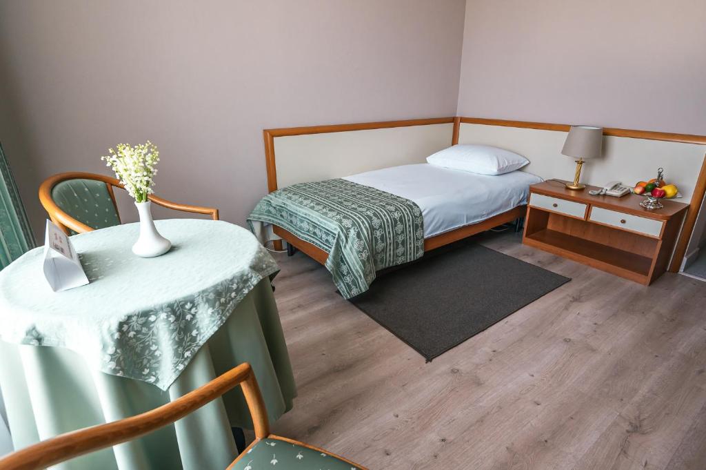Hotel Trotuş - Habitación Individual