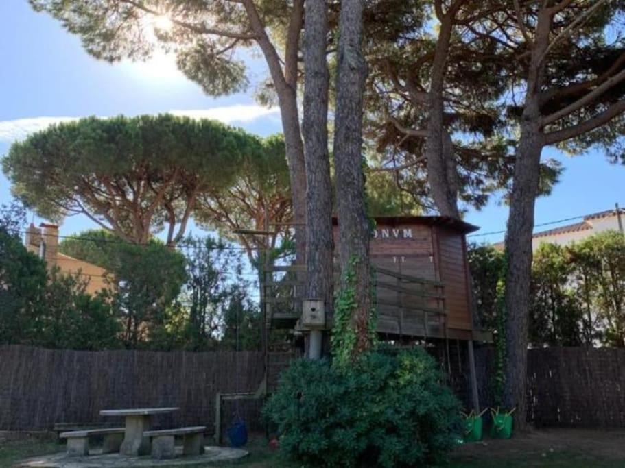 Zahrada ubytování Casa exclusiva, jardín y piscina privada