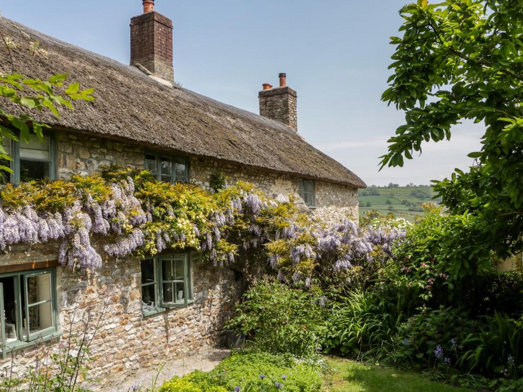 an old stone cottage covered in wisteria at The Hayloft in Honiton