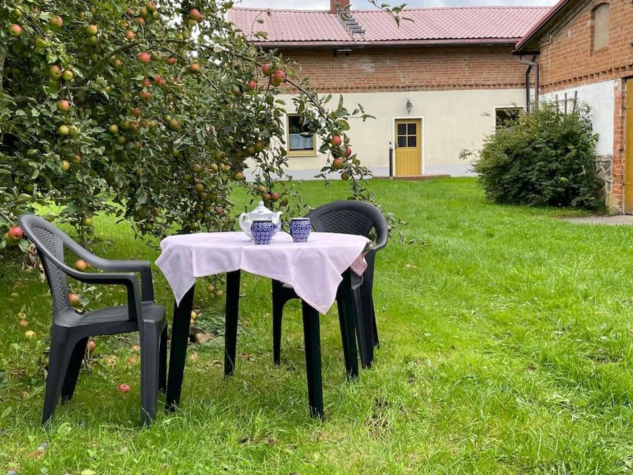 uma mesa e duas cadeiras num quintal com uma macieira em Gemütliches Haus mit Parkplatz auf dem Hof em Klocksin
