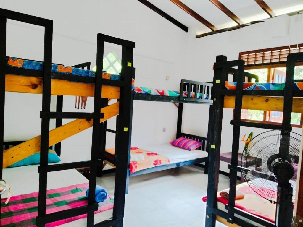 Palanda nebo palandy na pokoji v ubytování Backpacker Galle Hostel