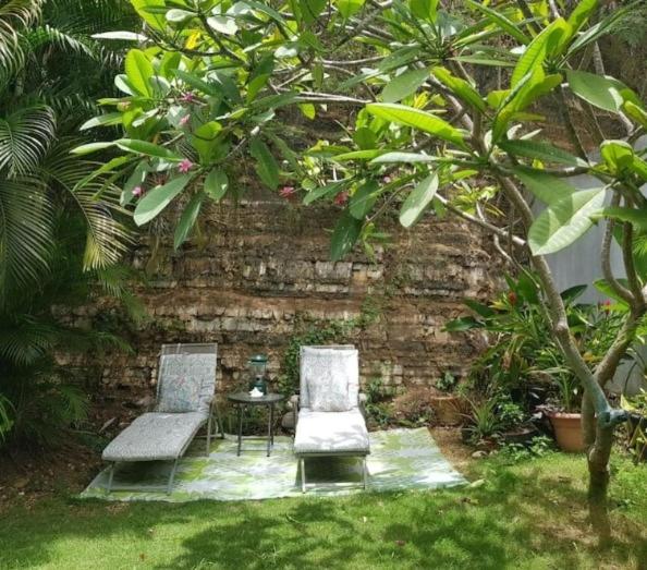 Zahrada ubytování Casa Mia Guest House