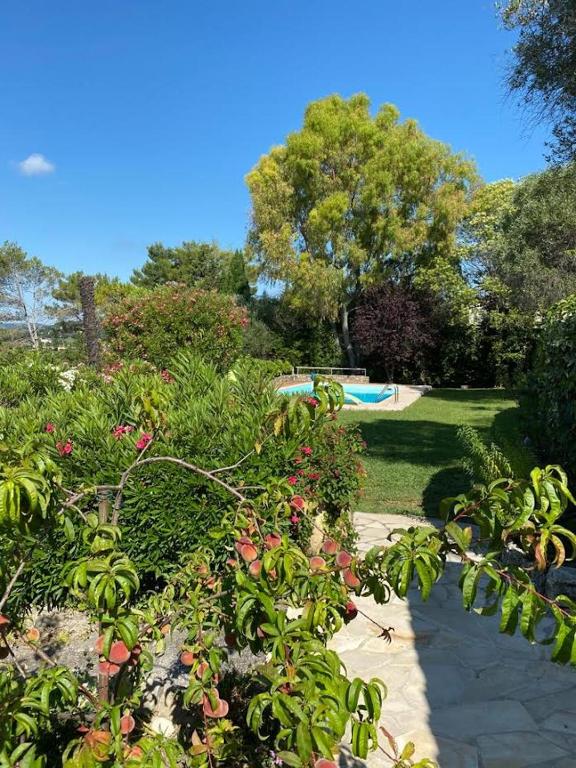 Villa la Mauvaise Herbe avec jardin et piscine chauffée, Mougins – Tarifs  2023