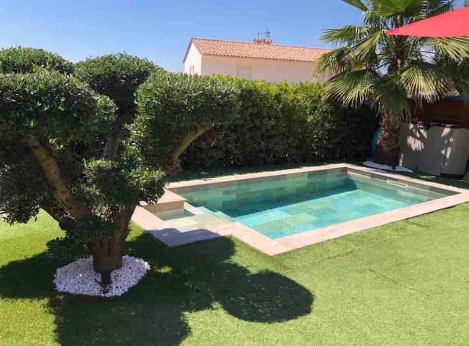 une piscine dans une cour avec un palmier dans l'établissement Charmante maison climatisée avec piscine privée, à Montauroux