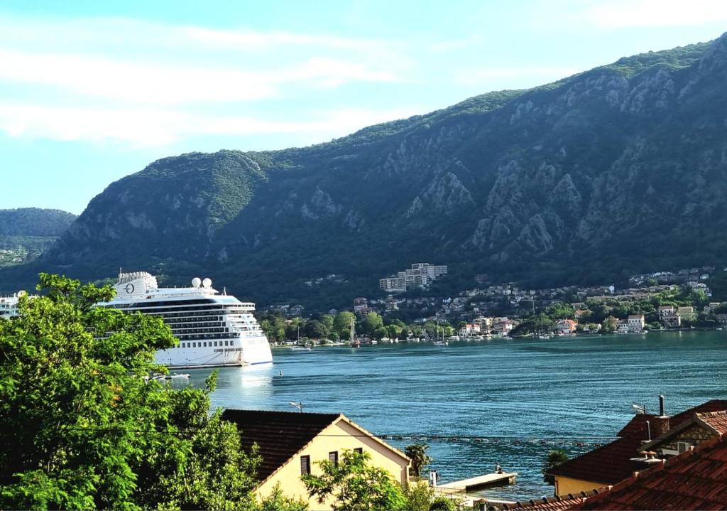a cruise ship in a river with mountains in the background at Apartments Krstos place in Kotor