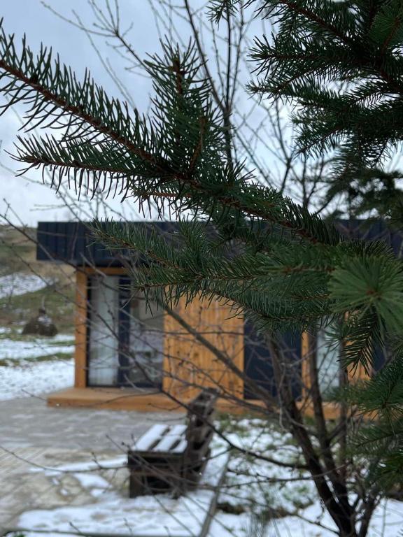 Příroda nedaleko apartmánu