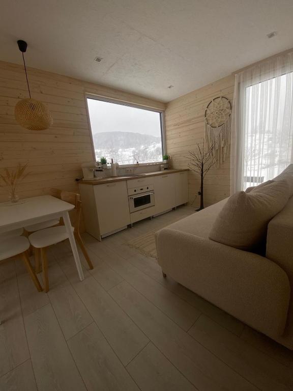 Kuchyň nebo kuchyňský kout v ubytování Vip Sadyba Svalyava Apartment