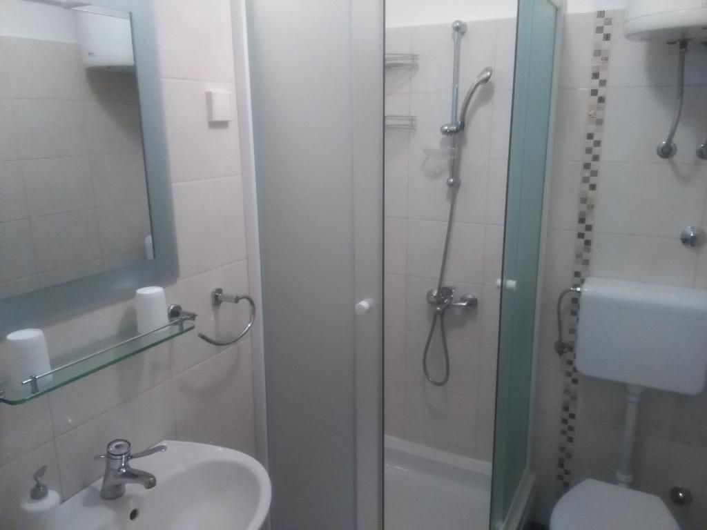 Koupelna v ubytování Guesthouse Franica
