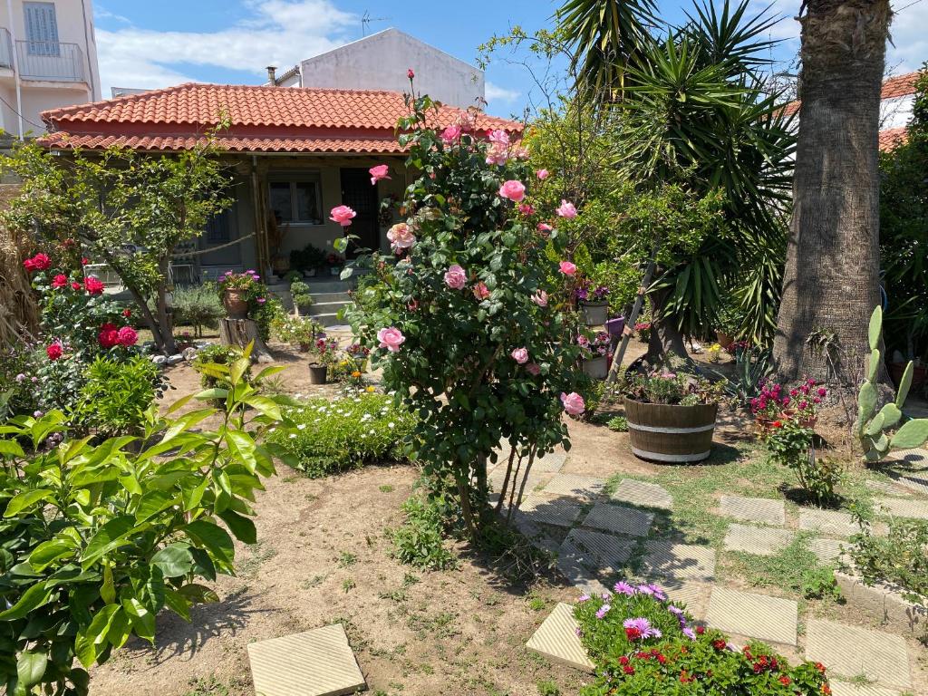 a garden with roses and plants in front of a house at Λευκό γιασεμί in Kritharia