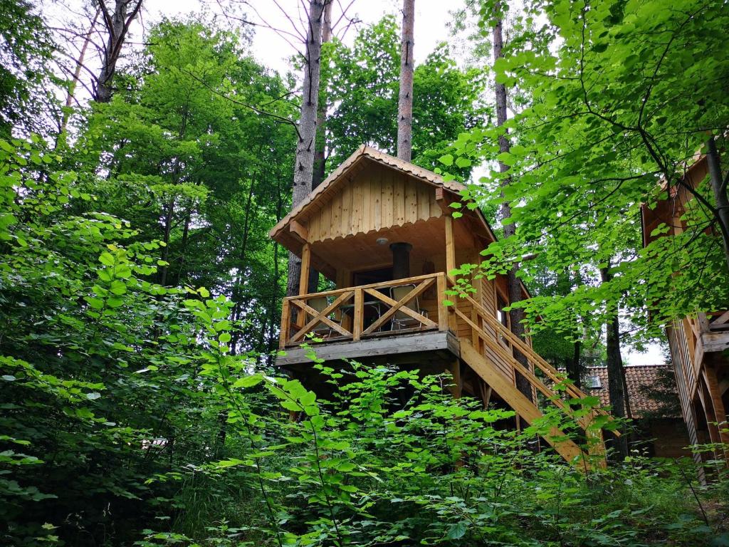a tree house in the middle of the forest at Bakasana in Ruciane-Nida