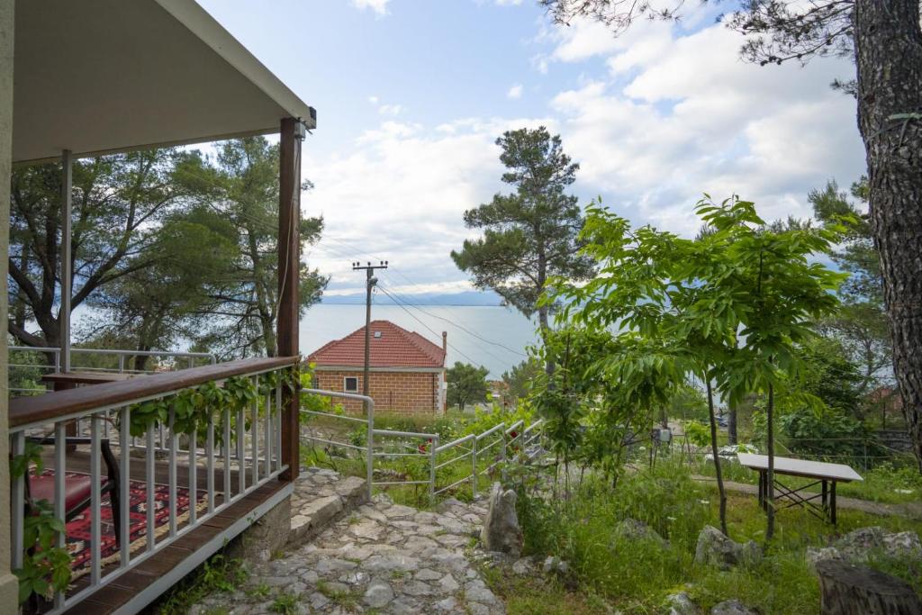 AMONG THE TREES - Image 5