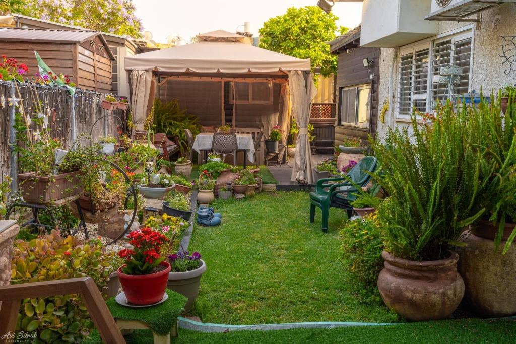 הבית של רחל הבית של רחל