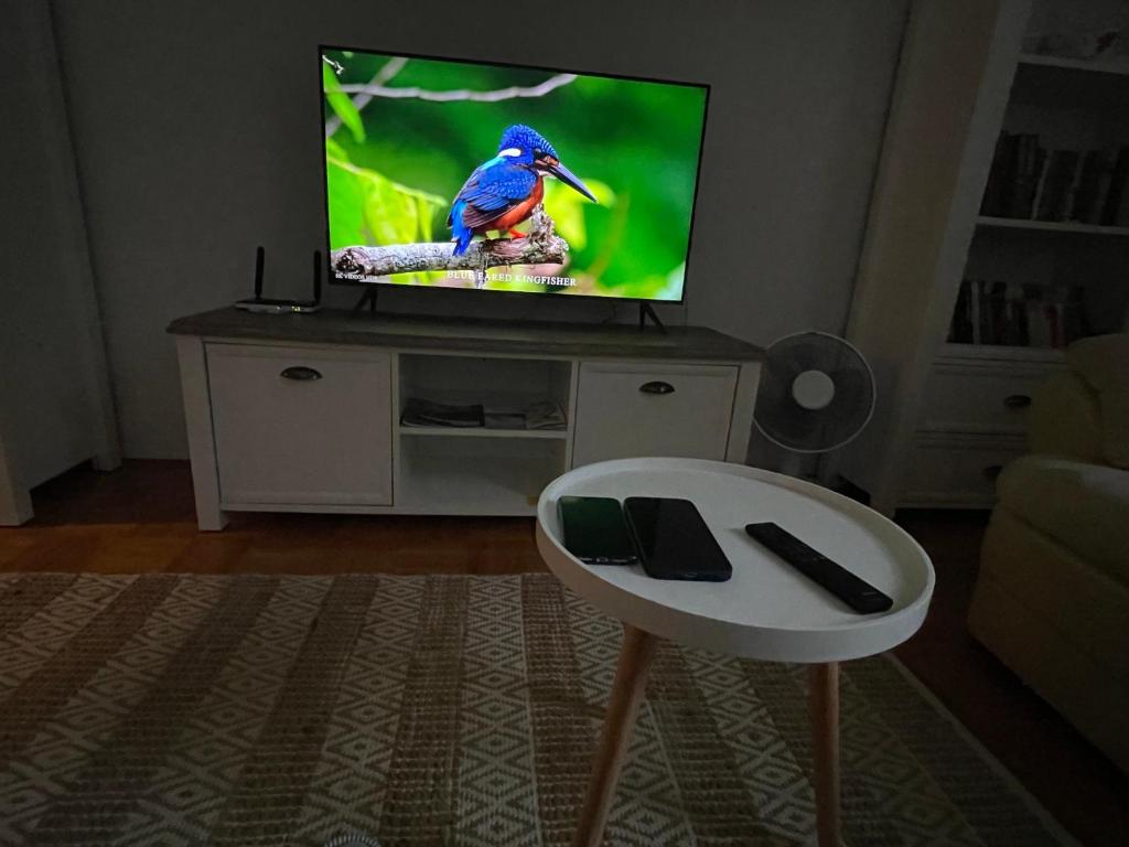 TV a/nebo společenská místnost v ubytování Apartment Juliana