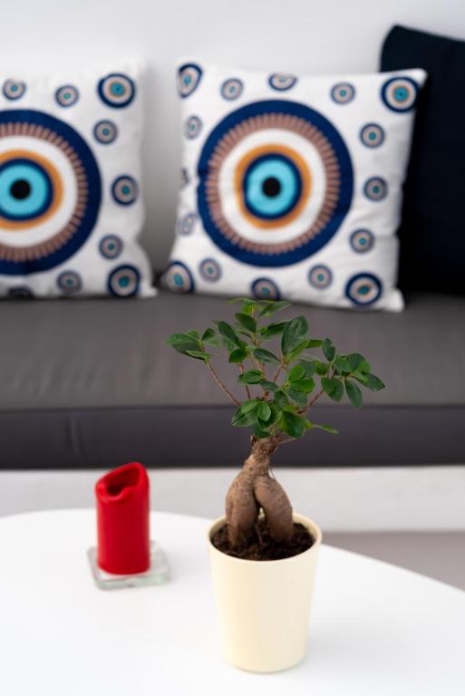 1812 Caves 'n Mansion - 5