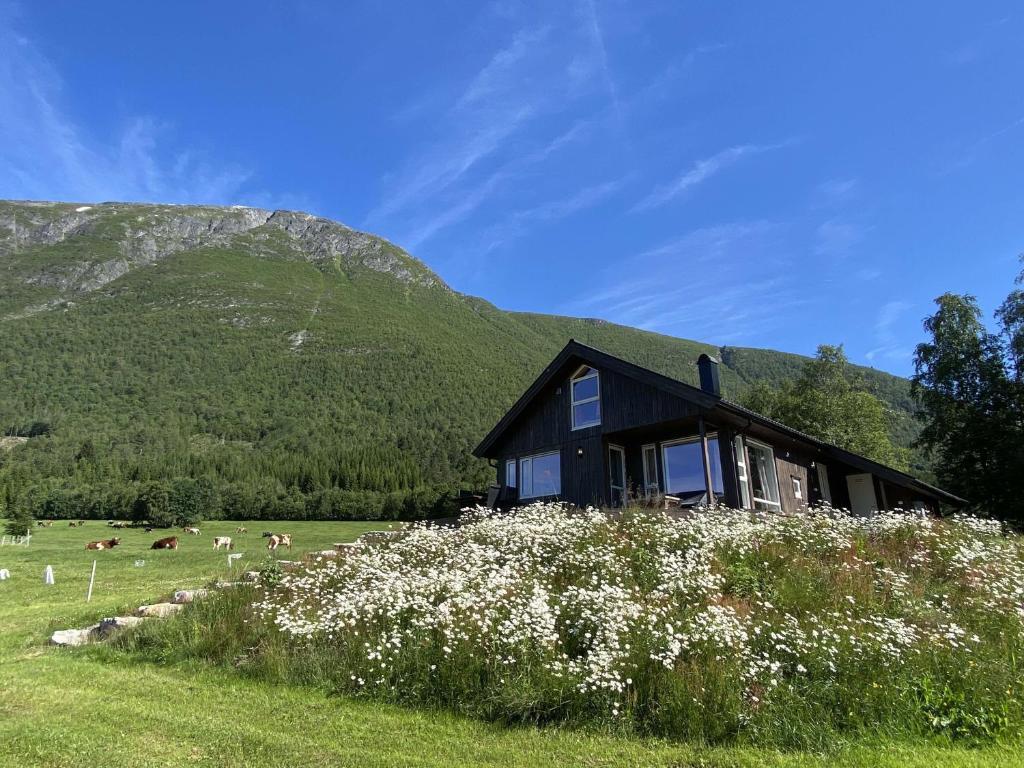 une maison noire dans un champ avec des montagnes en arrière-plan dans l'établissement Heinåli Hytta, à Isfjorden