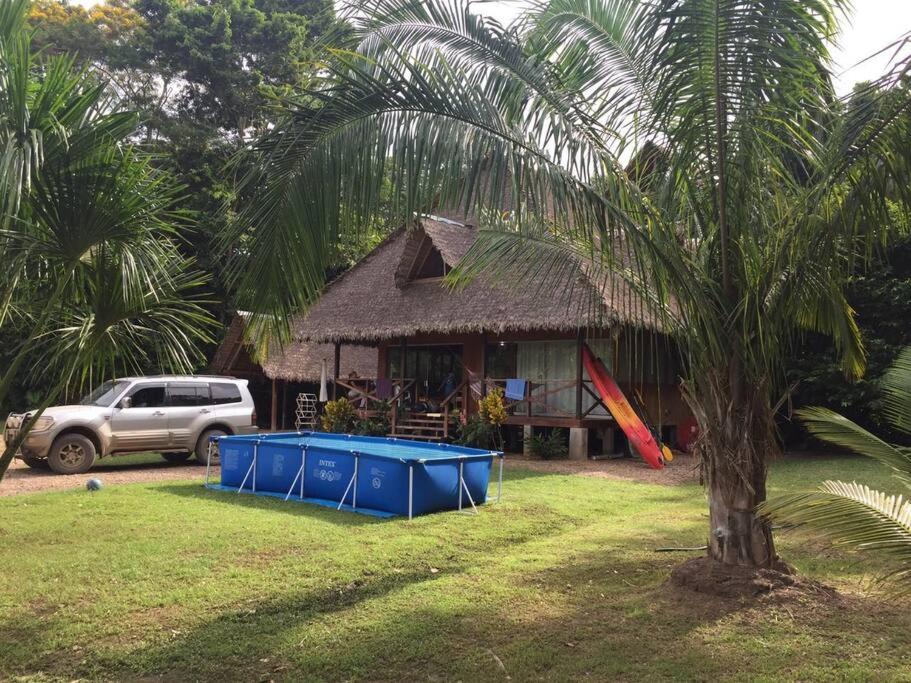 dom z palmą przed nim w obiekcie Rustic Cabin - Tambopata Natural Reserve w mieście Puerto Maldonado