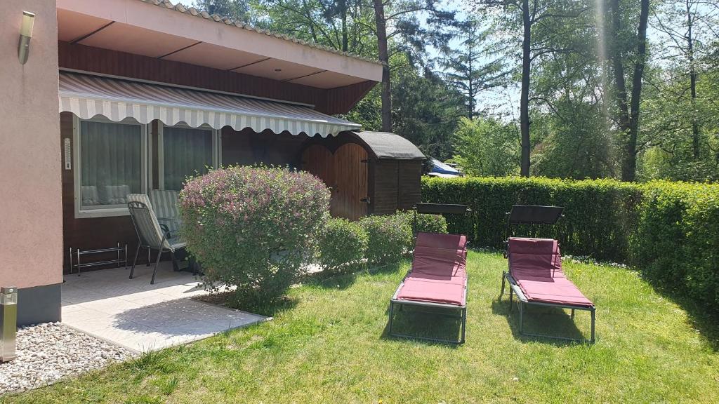 einen Garten mit zwei Gartenstühlen und einem Haus in der Unterkunft Ferienhaus Kabitschke in Dobbrikow