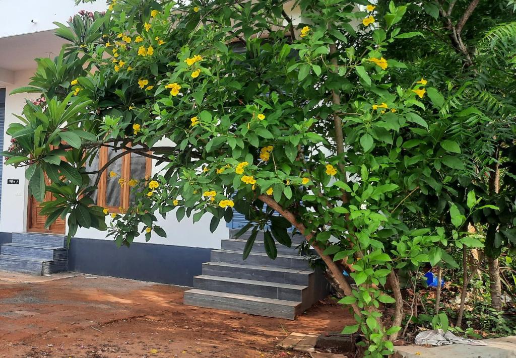 Dalam Home at Irikkur, Irikkūr (updated prices 2025)
