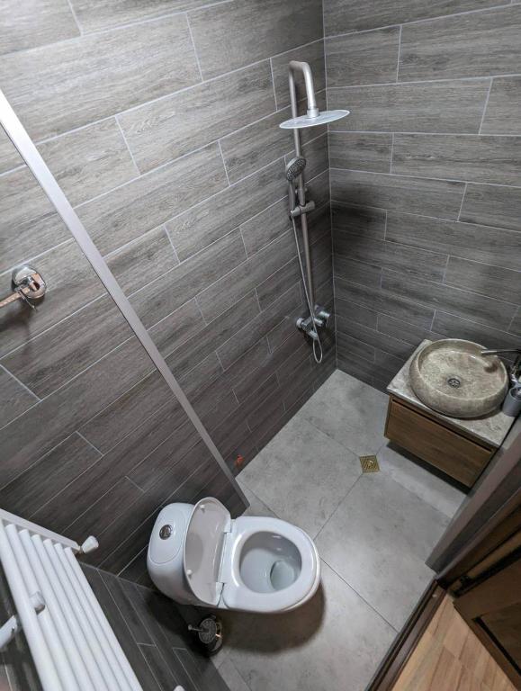 a bathroom with a toilet and a sink at DATI in Borjomi