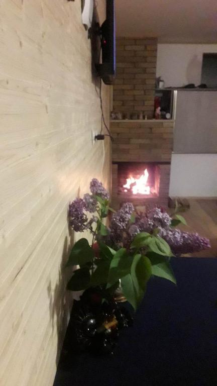 a fireplace in a room with a plant in front of it at DATI in Borjomi